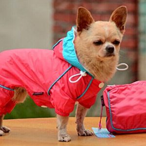 %D0%A4%D0%BE%D1%82%D0%BE2 4 Как выбрать дождевик для собаки