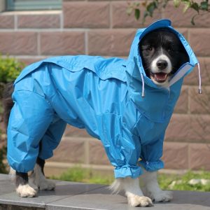 %D0%A4%D0%BE%D1%82%D0%BE3 4 Как выбрать дождевик для собаки