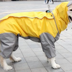 %D0%A4%D0%BE%D1%82%D0%BE5 3 Как выбрать дождевик для собаки