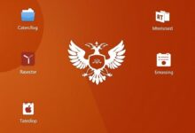 Отечественные операционные системы: зачем они нужны и что выбрать сегодня